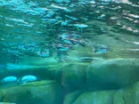 天王寺動物園に投稿された画像（2024/4/14）