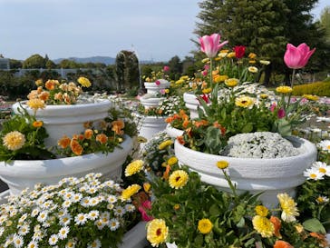 浜名湖花博2024に投稿された画像（2024/4/14）