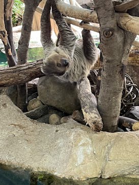 那須どうぶつ王国に投稿された画像（2024/4/14）