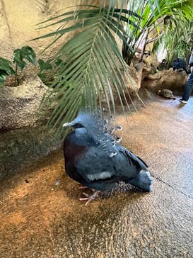 那須どうぶつ王国に投稿された画像（2024/4/14）