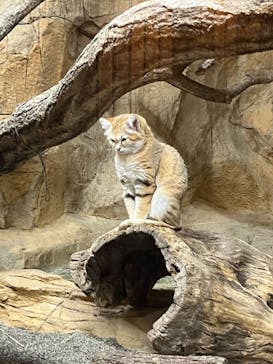 那須どうぶつ王国に投稿された画像（2024/4/14）