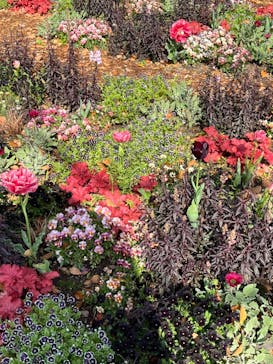 浜名湖花博2024に投稿された画像（2024/4/14）