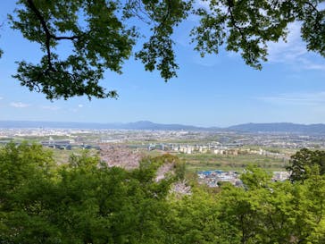 京阪電車に投稿された画像（2024/4/14）