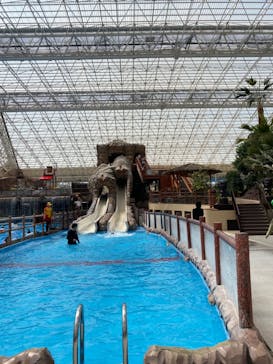 東京サマーランドに投稿された画像（2024/4/14）