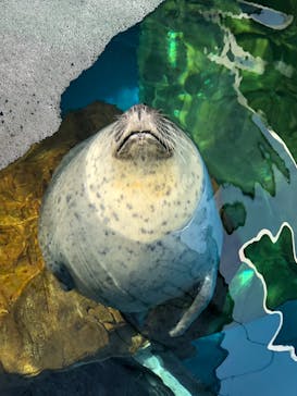 しながわ水族館に投稿された画像（2024/4/14）