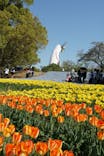 万博記念公園に投稿された画像（2024/4/14）