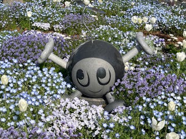 浜名湖花博2024に投稿された画像（2024/4/14）