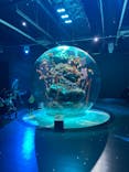 AQUARIUM × ART　atoaに投稿された画像（2024/4/14）