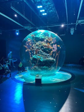 AQUARIUM × ART　atoaに投稿された画像（2024/4/14）