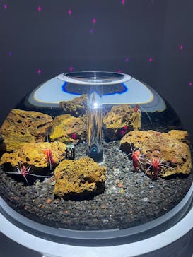 AQUARIUM × ART　atoaに投稿された画像（2024/4/14）