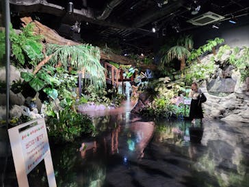 DMMかりゆし水族館に投稿された画像（2024/4/14）