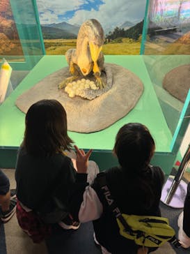 オダイバ恐竜博覧会2024 -福井から“ヤツラ”が新幹線でやってくる！-に投稿された画像（2024/4/14）