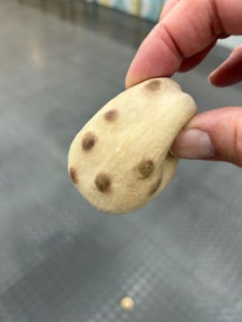 新潟県立自然科学館に投稿された画像（2024/4/14）