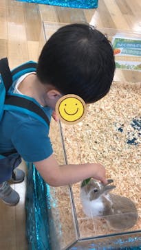 いきもの探検隊湘南に投稿された画像（2024/4/14）