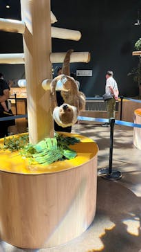 DMMかりゆし水族館に投稿された画像（2024/4/14）