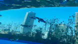 サンシャイン水族館に投稿された画像（2024/4/15）