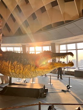 オダイバ恐竜博覧会2024 -福井から“ヤツラ”が新幹線でやってくる！-に投稿された画像（2024/4/14）