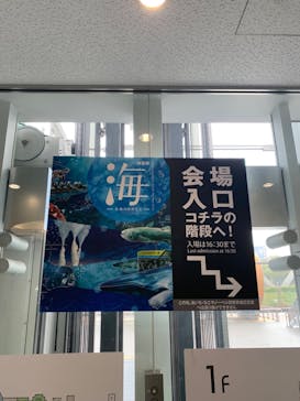 特別展「海　―生命のみなもと―」名古屋市科学館に投稿された画像（2024/4/14）