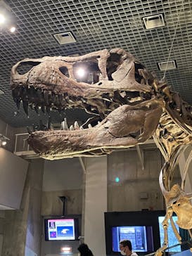 国立科学博物館に投稿された画像（2024/4/14）