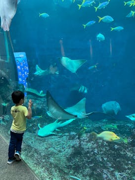 鴨川シーワールドに投稿された画像（2024/4/14）