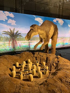 オダイバ恐竜博覧会2024 -福井から“ヤツラ”が新幹線でやってくる！-に投稿された画像（2024/4/14）