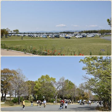 浜名湖花博2024に投稿された画像（2024/4/14）