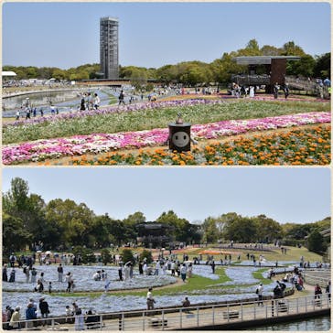 浜名湖花博2024に投稿された画像（2024/4/14）