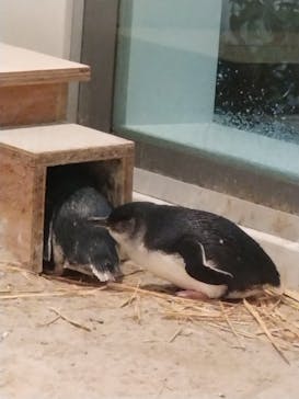 AOAO SAPPOROに投稿された画像（2024/4/14）