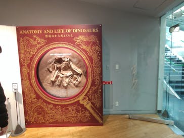 福井県立恐竜博物館に投稿された画像（2024/4/15）