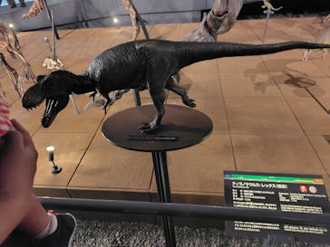 福井県立恐竜博物館に投稿された画像（2024/4/15）