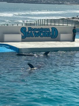 鴨川シーワールドに投稿された画像（2024/4/15）