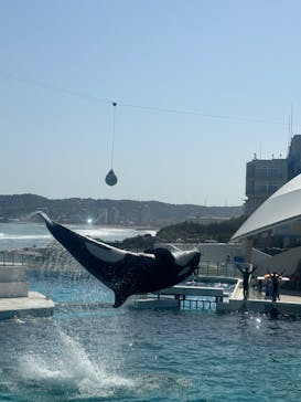 鴨川シーワールドに投稿された画像（2024/4/15）