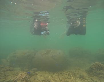 武藤潜水に投稿された画像（2024/4/15）