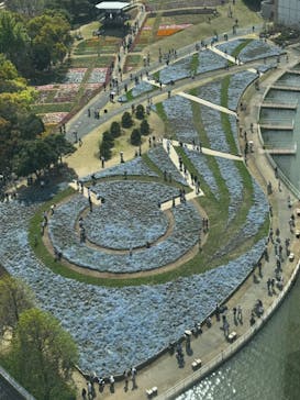 浜名湖花博2024に投稿された画像（2024/4/15）