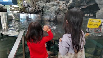 アクアワールド茨城県大洗水族館に投稿された画像（2024/4/15）