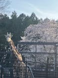 宇都宮動物園に投稿された画像（2024/4/15）