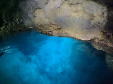 武藤潜水に投稿された画像（2024/4/15）