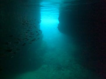 武藤潜水に投稿された画像（2024/4/15）