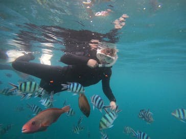 武藤潜水に投稿された画像（2024/4/15）