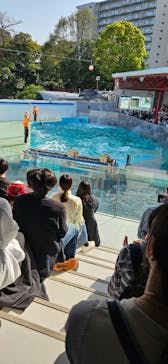 しながわ水族館に投稿された画像（2024/4/15）
