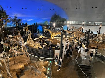 福井県立恐竜博物館に投稿された画像（2024/4/15）