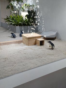 AOAO SAPPOROに投稿された画像（2024/4/15）