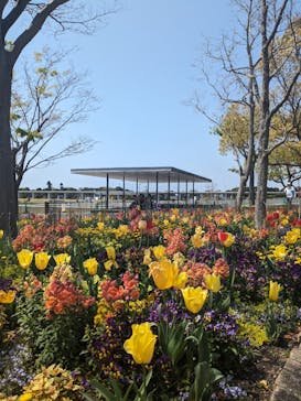 浜名湖花博2024に投稿された画像（2024/4/15）