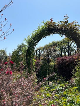 横浜イングリッシュガーデンに投稿された画像（2024/4/15）