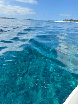 フォーティーンマリン沖縄に投稿された画像（2024/4/15）