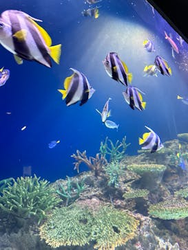 マリンワールド海の中道に投稿された画像（2024/4/15）