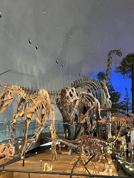 福井県立恐竜博物館に投稿された画像（2024/4/15）