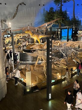 福井県立恐竜博物館に投稿された画像（2024/4/15）