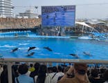 名古屋港水族館に投稿された画像（2024/4/15）