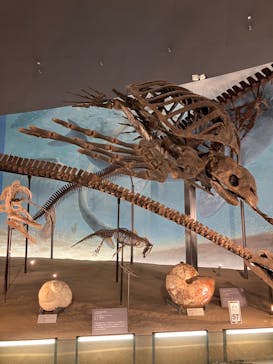 福井県立恐竜博物館に投稿された画像（2024/4/15）